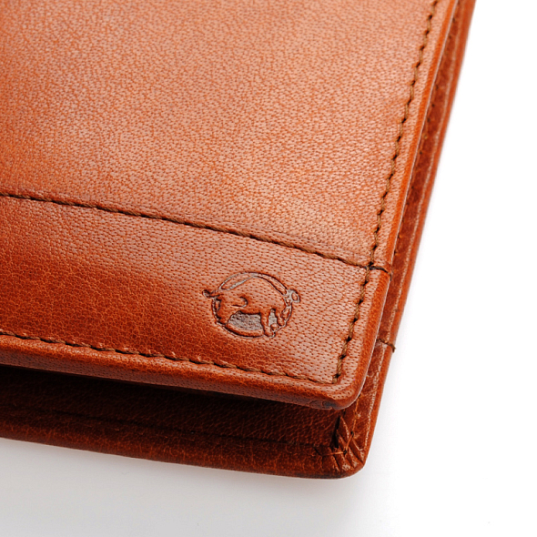 6110000_3.jpg